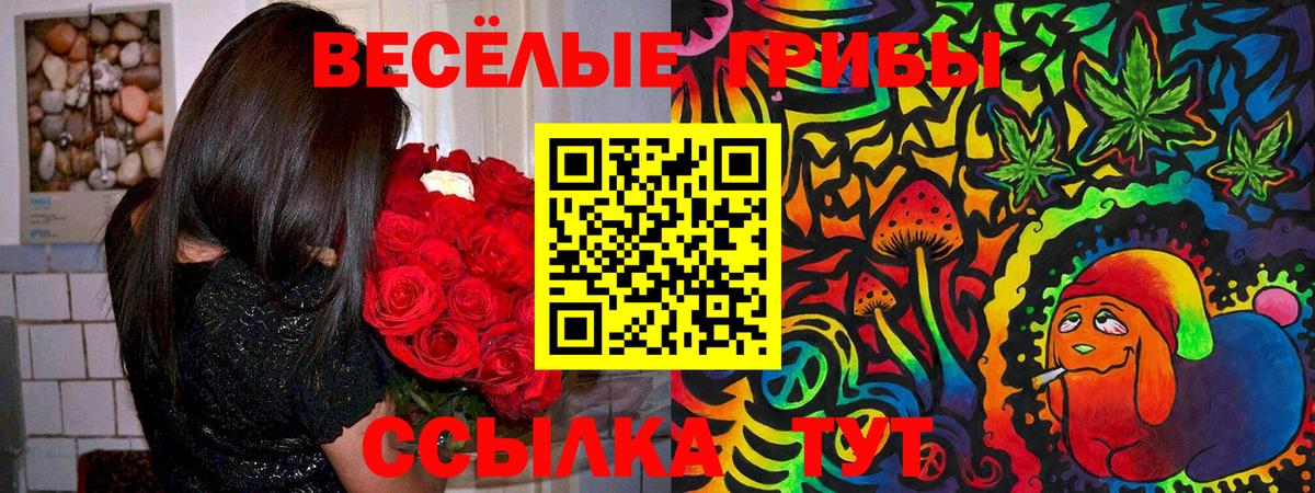Александров  Галлюциногенные грибы MAGIC MUSHROOMS  Псилоцибиновые грибы мицелий  Вход с VPN 